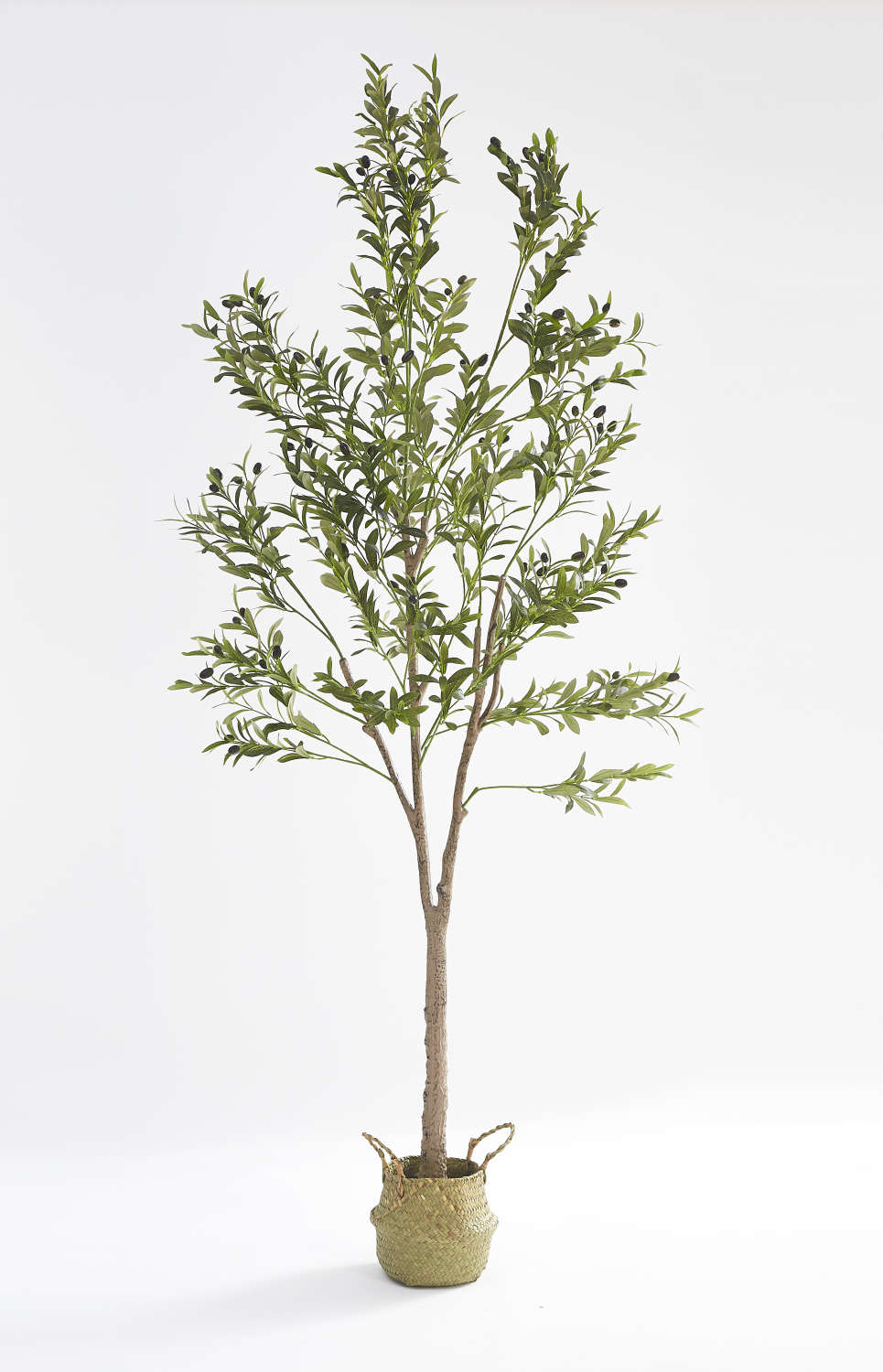 PLANTE ARTIFICIELLE  OLIVIER PANIER TRESSÉ EN ALGUES INCLUS 210CM