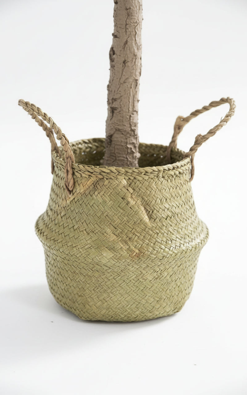 Olivier Plante Artificiel 210 cm Panier Tressé Algues inclus - Arbre Décoratif
