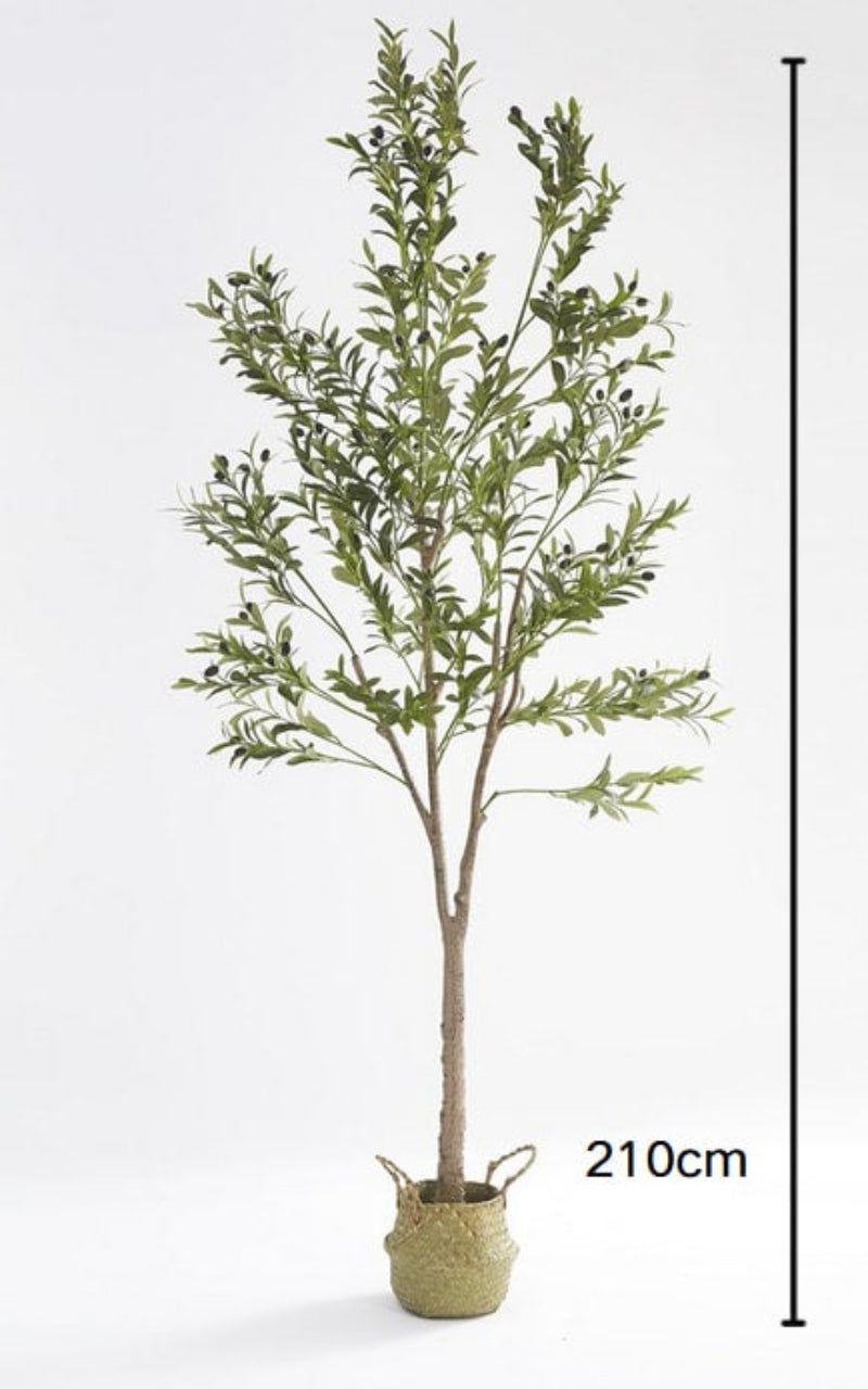 PLANTE ARTIFICIELLE  OLIVIER PANIER TRESSÉ EN ALGUES INCLUS 210CM