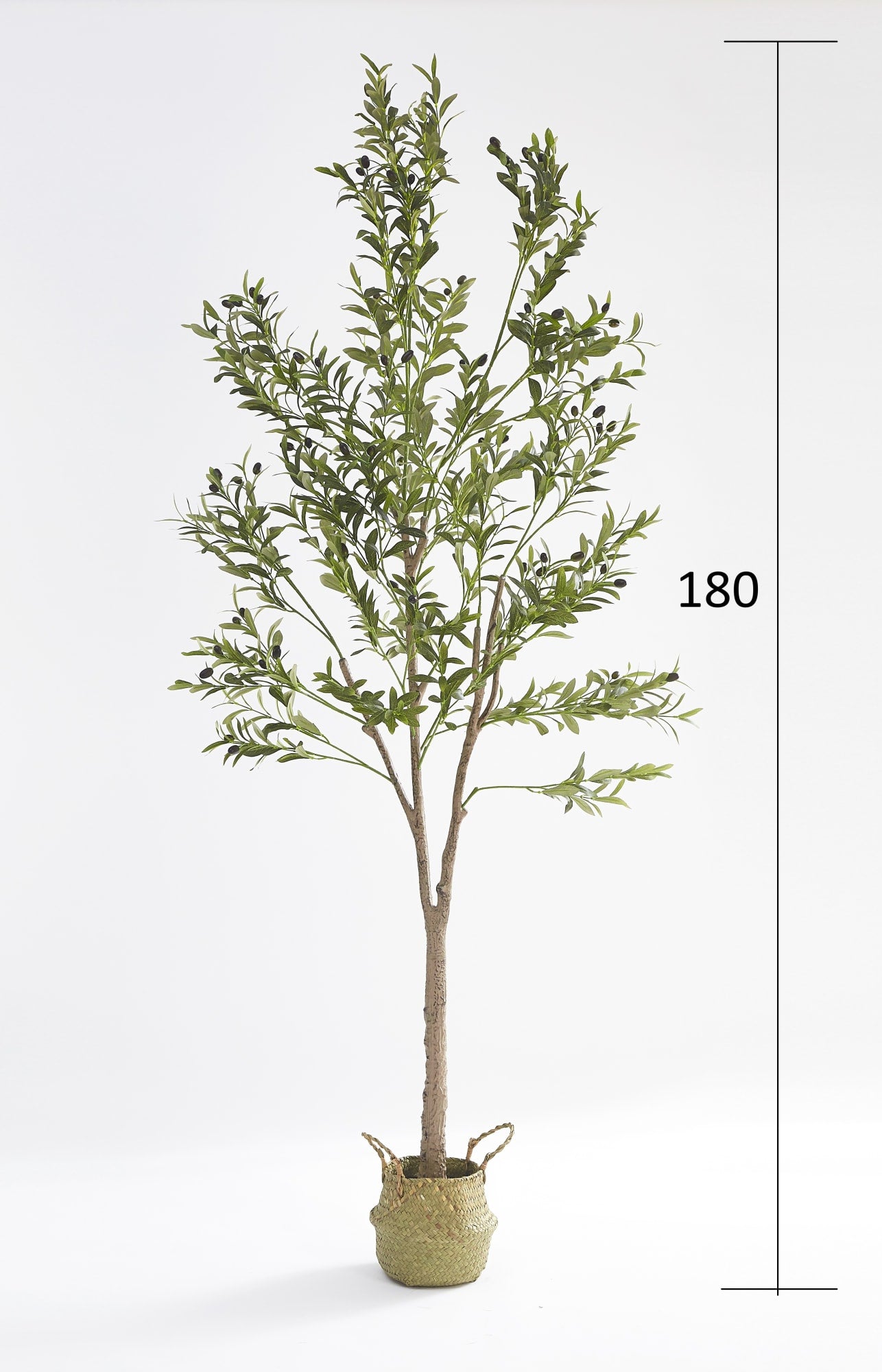 PLANTE ARTIFICIELLE OLIVIER 180CM