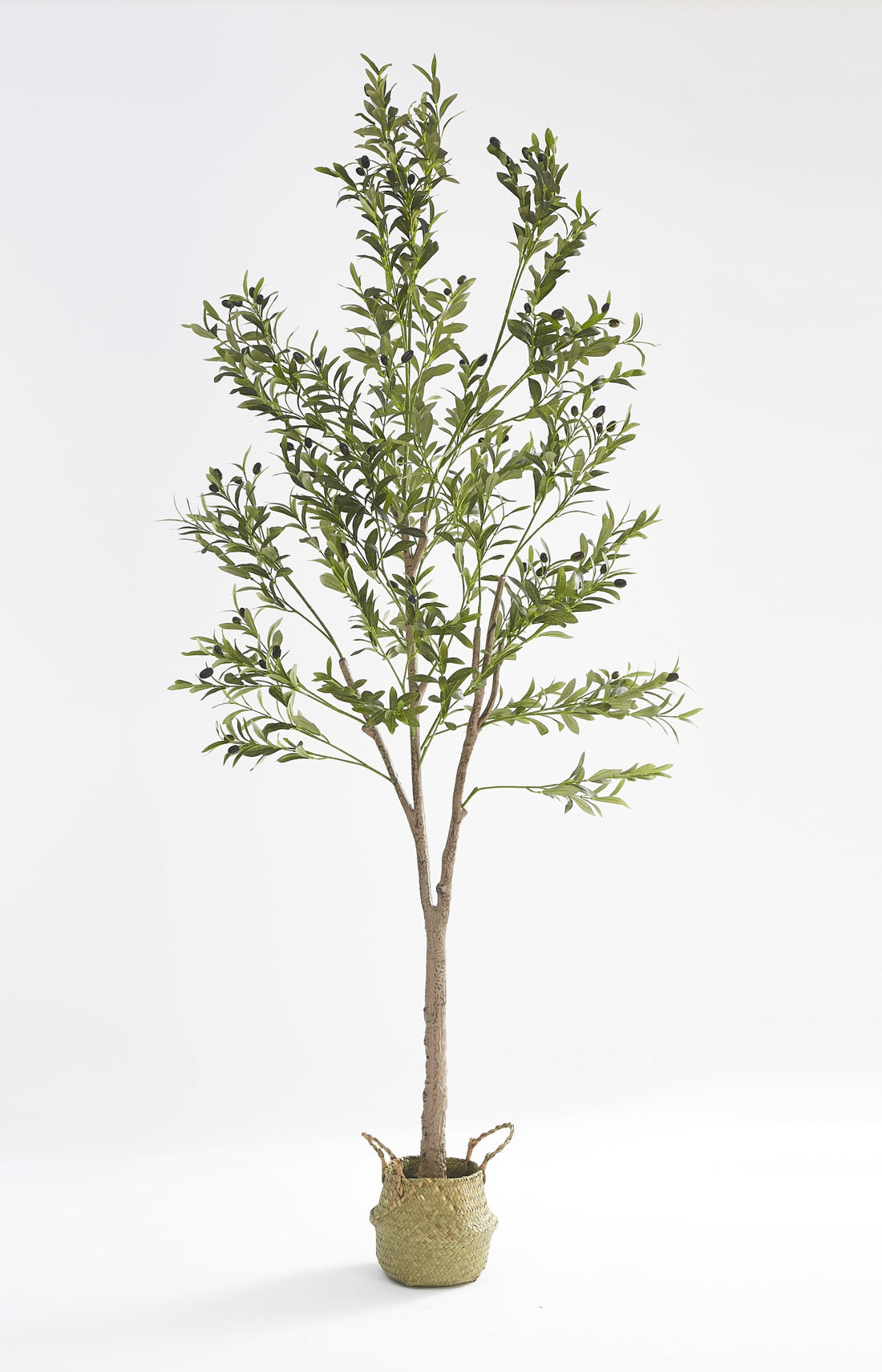 PLANTE ARTIFICIELLE OLIVIER 180CM