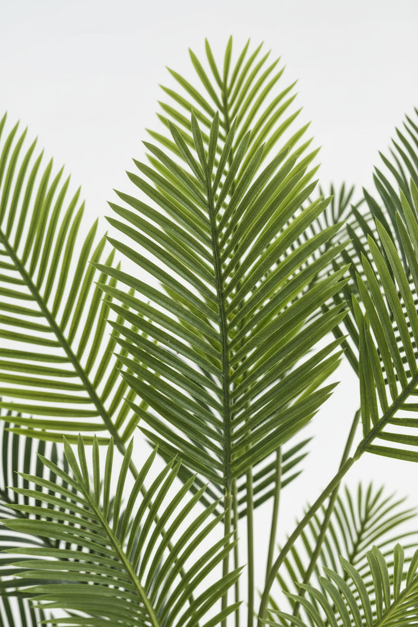 Palmier Artificiel 200 cm Panier Tressé Algues - Plante Décorative Tropicale