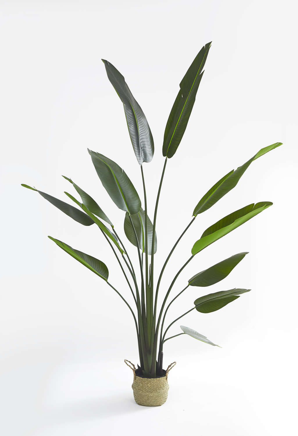 PLANTE ARTIFICIELLE STRELITZIA OISEAU DE PARADIS PANIER TRESSÉ EN ALGUES INCLUS 210CM