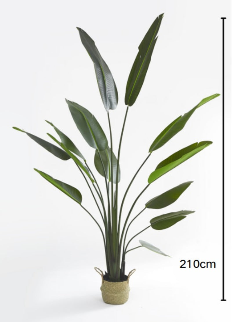 PLANTE ARTIFICIELLE STRELITZIA OISEAU DE PARADIS PANIER TRESSÉ EN ALGUES INCLUS 210CM